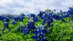 Die Vignette in Österreich: Alles, was Sie vor der Fahrt wissen müssen