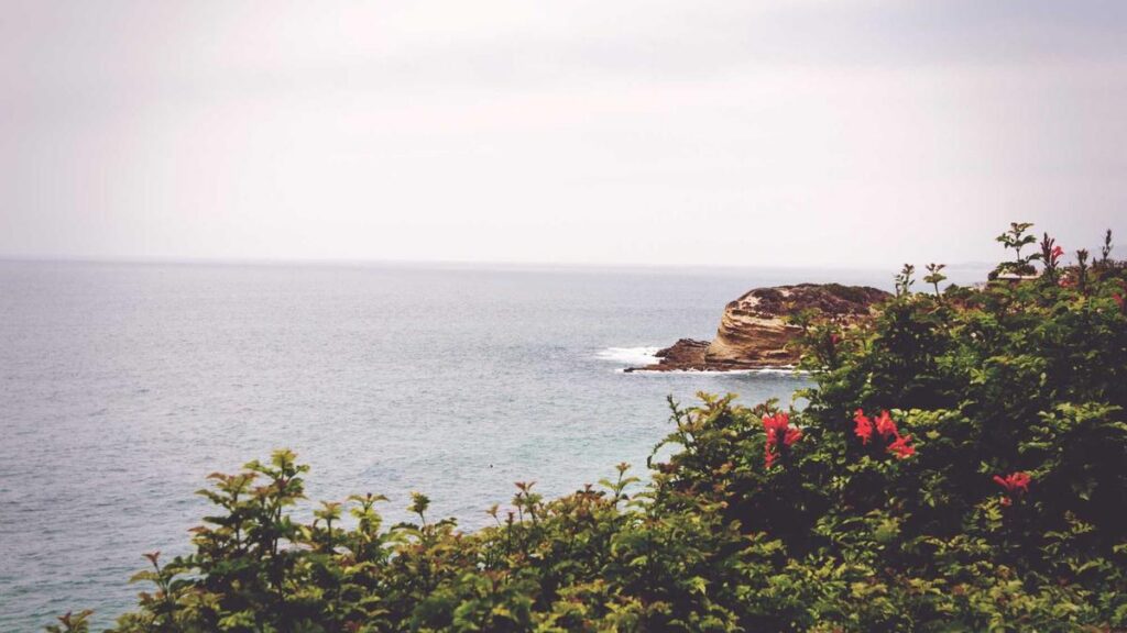 Digitale Vignette vs. Klebevignette: Welche Variante ist die richtige für Sie?